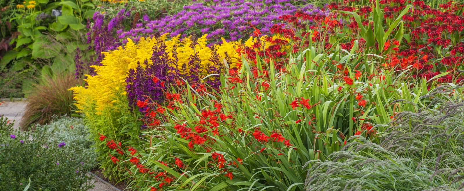 Hot Garden at RHS Rosemoor