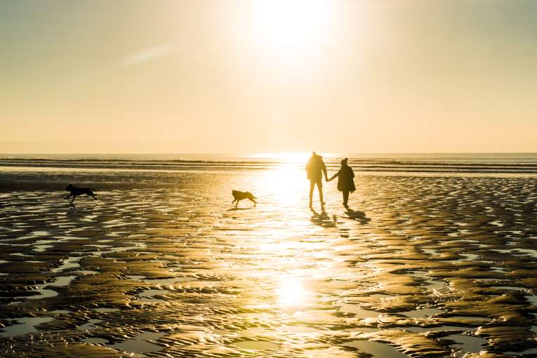 A couple walking their dog on the beach in winter