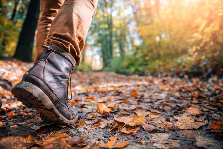 A man walking down an autumnal woodland path