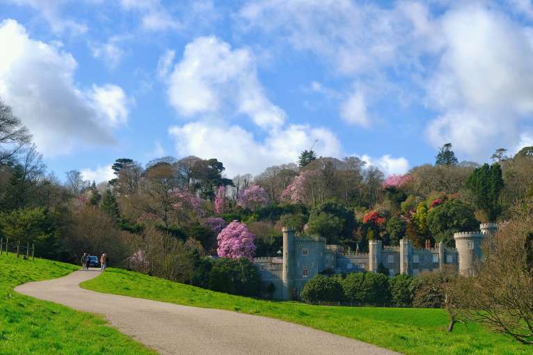 Caerhays Castle Spring Gardens