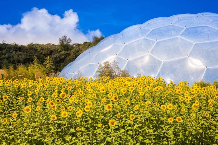 The Eden Project Biomes Cornwall