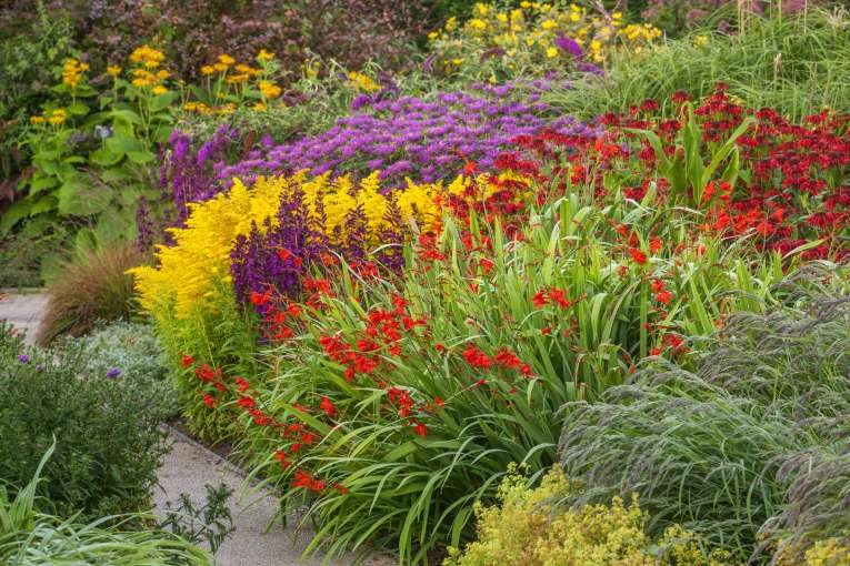 Hot Garden at RHS Rosemoor