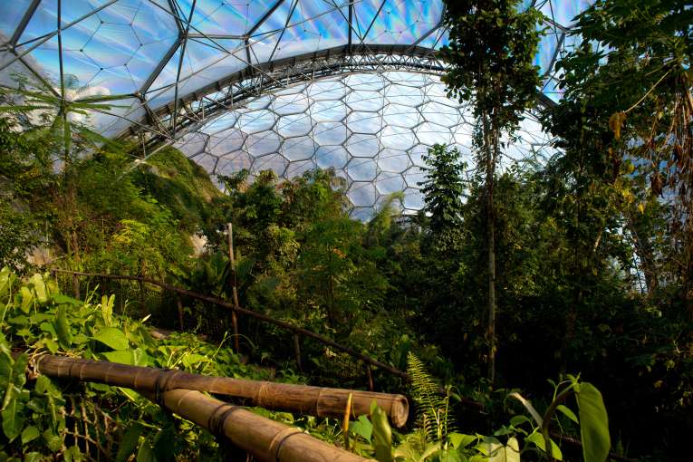 Inside dome at Eden Project