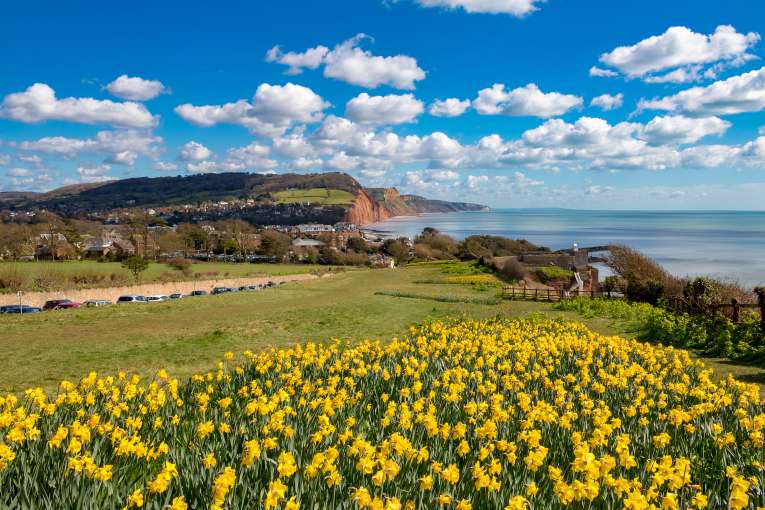 South Devon Sidmouth in Spring