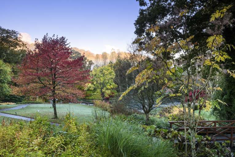 RHS Rosemoor in Winter