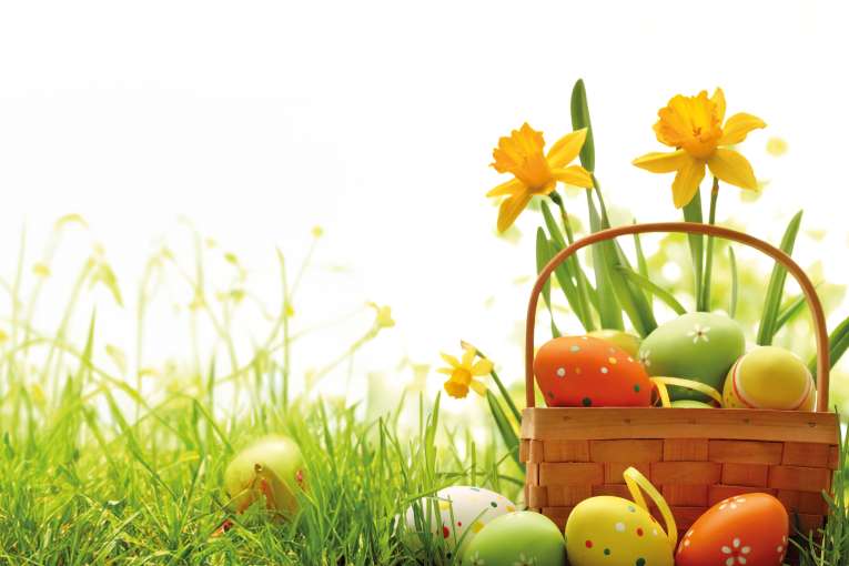 Easter eggs in a basket with daffodils in background