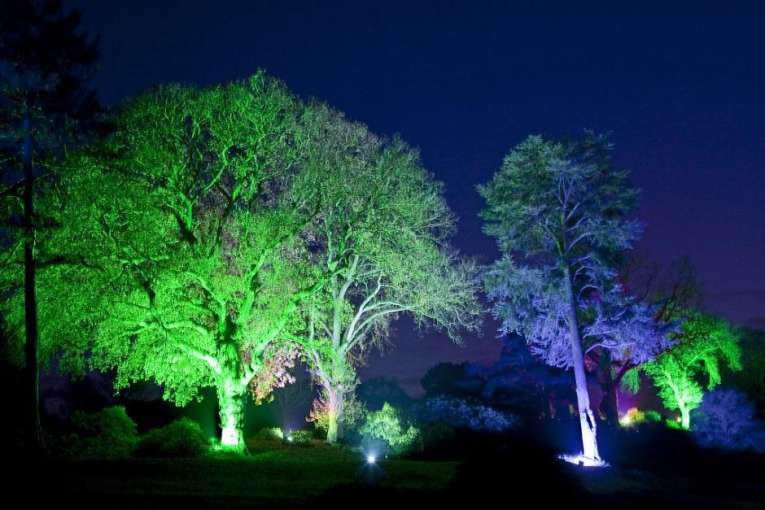 Rosemoor Glow