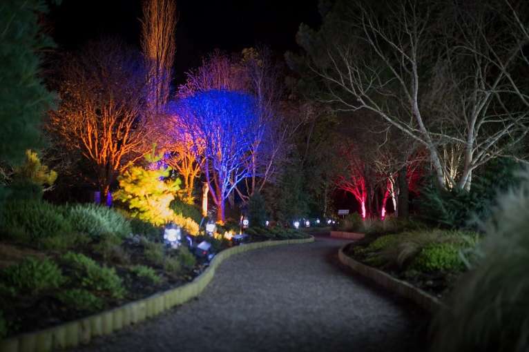 Rosemoor Glow