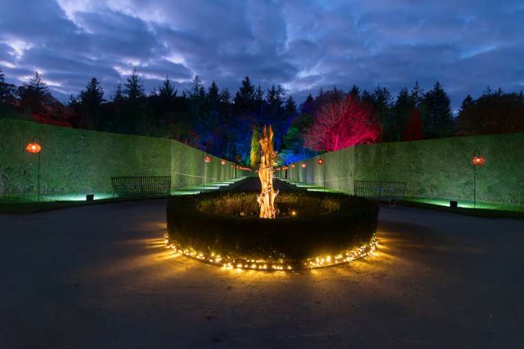 RHS Rosemoor Glow Nights