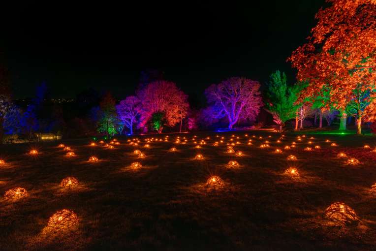 RHS Rosemoor Glow Nights