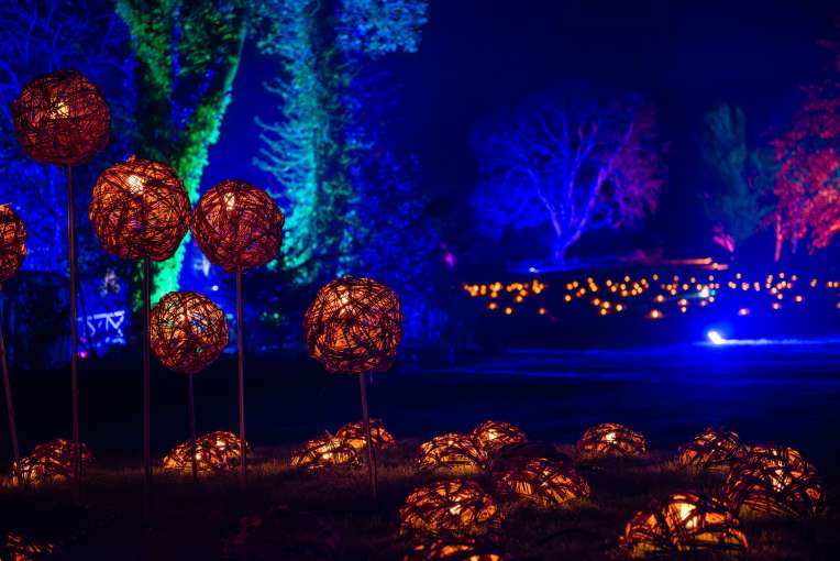 RHS Rosemoor Glow Nights