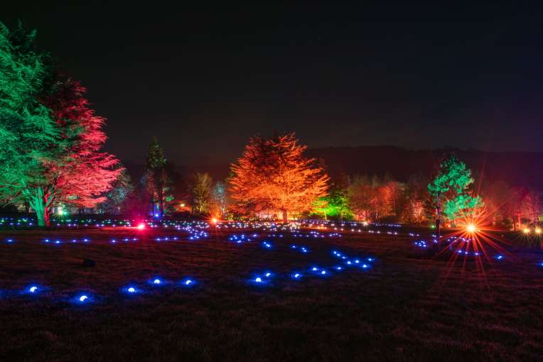RHS Rosemoor Glow Nights