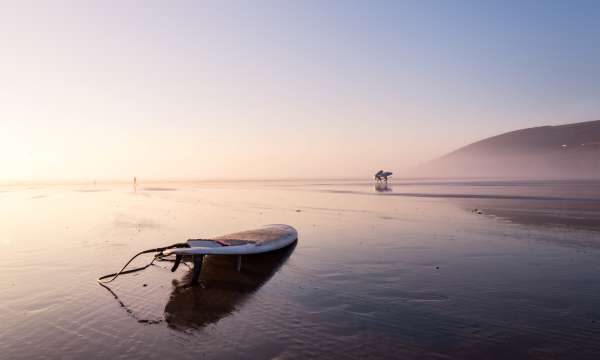 Surf board on a winter beach in the morning