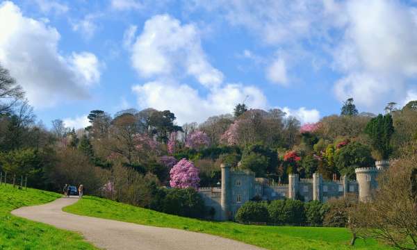 Caerhays Castle Spring Gardens