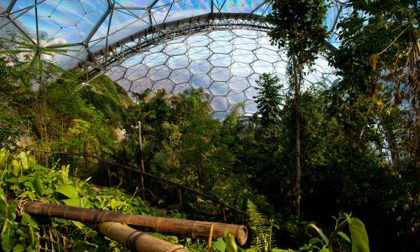 Tropical Biome at the Eden Project