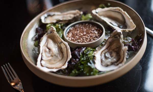 carlyon bay porthilley oysters in taste of cornwall