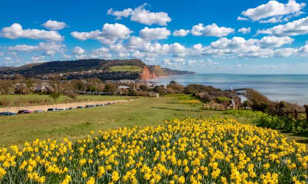 South Devon Sidmouth in Spring