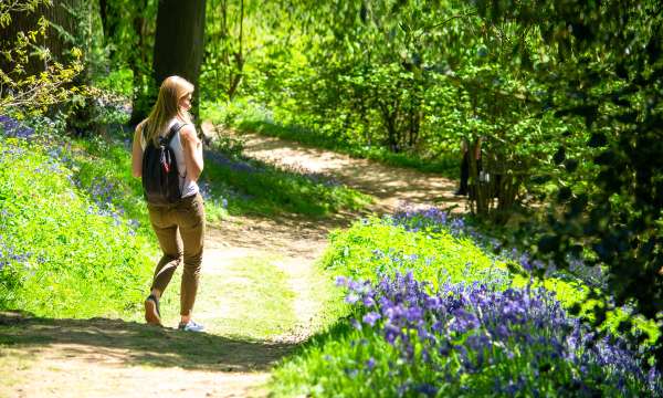woman walking in forest with bluebells