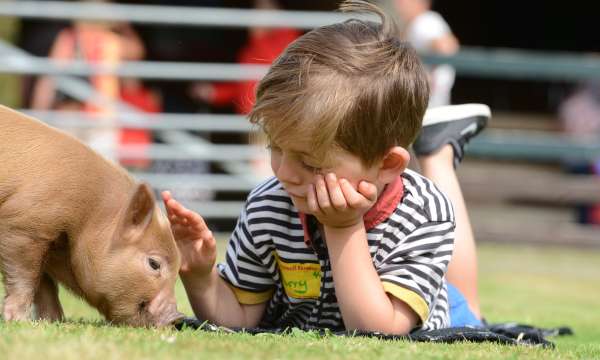 boy with little pig at Pennywell Farm
