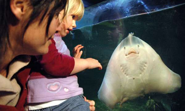 Mother and Child at an Aquarium