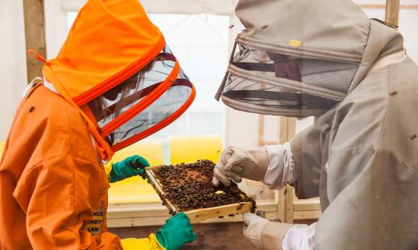 2 people in bee keeping clothes with bee hive