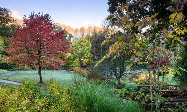 Rosemoor 
