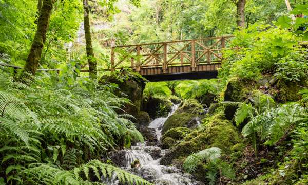Waterfall at Canonteign Falls