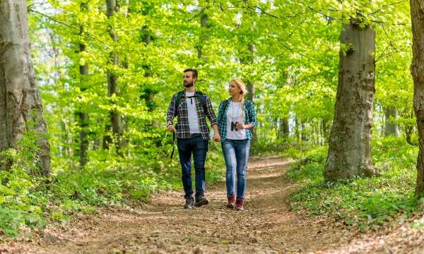 Couple out walking hand in hand in the woods