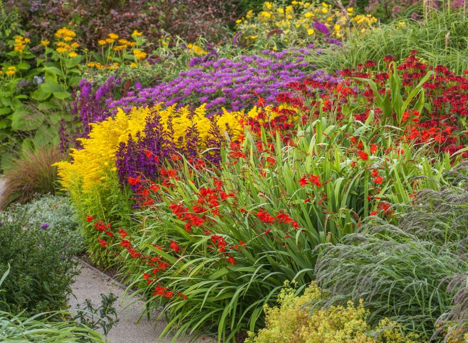 Hot Garden at RHS Rosemoor